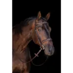 Uzdа HKM Jana Brown