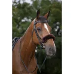 Zaštita za prekonosni remen E-T Teddy