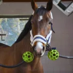 Zaščitna žogica za privez H-T - slika 2