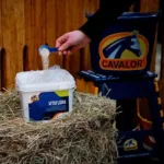 Cavalor VitaFlora - immagine 2