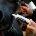 Cavalor Gastro Aid Paste - slika 2