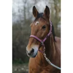 Oglavka za konja E-T Spring - slika 6