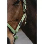 Oglavka za konja E-T Spring - slika 8