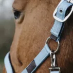 Oglavka za konja E-T Spring - slika 13