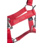 Ular HKM Aymee - Slika 2