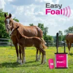 Naprava za žrebitev Easy Foal