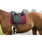 Dresurna podsedelnica Riding World Girly - slika 10