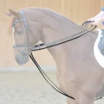 Zvezne tkane vajeti Kavalkade - slika 2