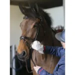 Rokavičke za čiščenje opreme Carr&Day&Martin - slika 2