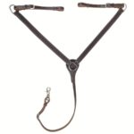 Western predprsnica Texas