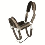 Ular Back on Track Haze