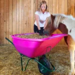 Samokolnica ROTO roza 120L