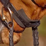 Neoprenska zaštita za nosnik Kavalkade 30VE