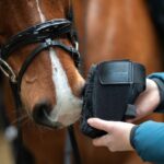 Zaščita za ostroge Kavalkade Safe Heel - slika 3