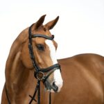 Uzda za konja HKM Anatomic