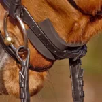 Kavalkade neoprenska zaščita na nosnik KavalPren