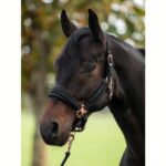 Oglavka HKM Berry - slika 2