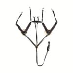 Oprsnica + martingal HKM Lamb