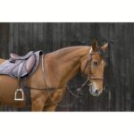 Pomožne stranske vajeti Norton Adjust