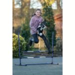 Hobby Horsing set za preskakanje - Slika 3