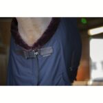 Pregrinjalo E-T Cooler Teddy - slika 3