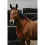 Jahaći obruč Norton Ethological Soft - Slika 3