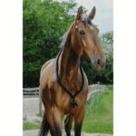 Jahalni obroč Norton Ethological Soft