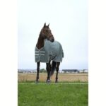 Pregrinjalo E-T Tyrex RCY Turnout 600D/50G - slika 2