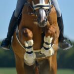 Ščitniki Kavalkade Compete'n wool - slika 6