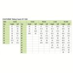 Škornji E-T Riding L - slika 2