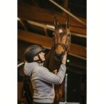 Čelada E-T Agris Glitter - slika 3