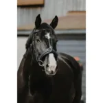 Uzda lonžirna Norton Wide - slika 2