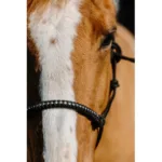 Vrvična oglavka Norton Diams