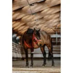 Oglavka + povodec E-T Xmas - slika 2