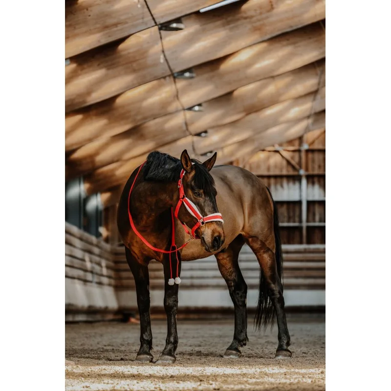 božični komplet clair 2 Oglavka + povodec E-T Xmas - slika 2