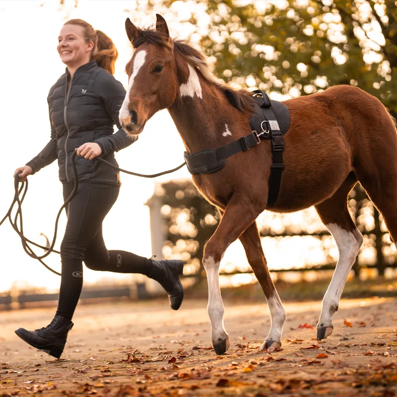 foalmaster 2 Oprsnica Kavalkade Foalmaster - slika 2