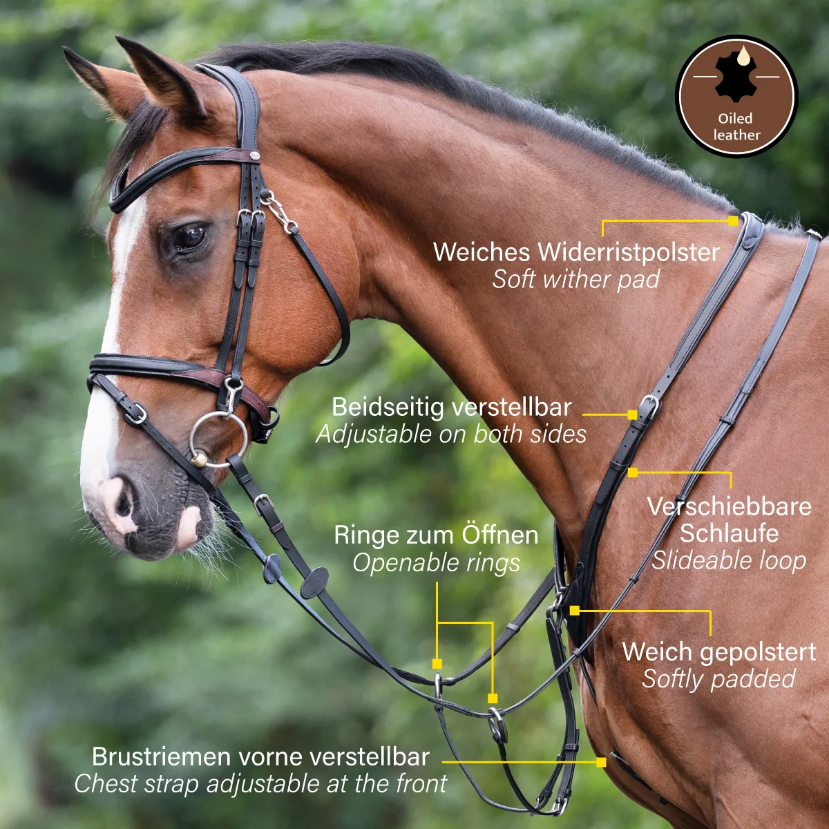 info azriel Martingal Kavalkade Azriel - slika 5