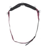 Lonžirni pas Norton Web