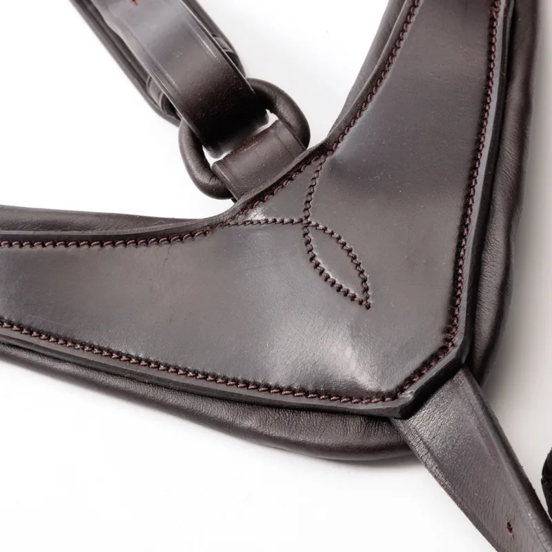 rjava robin bližje Predprsnica Kavalkade Robin - slika 2