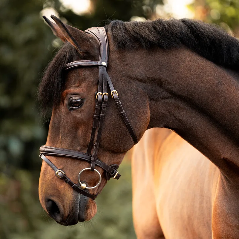 robiin uzda 2 Uzda Kavalkade Robin - slika 5