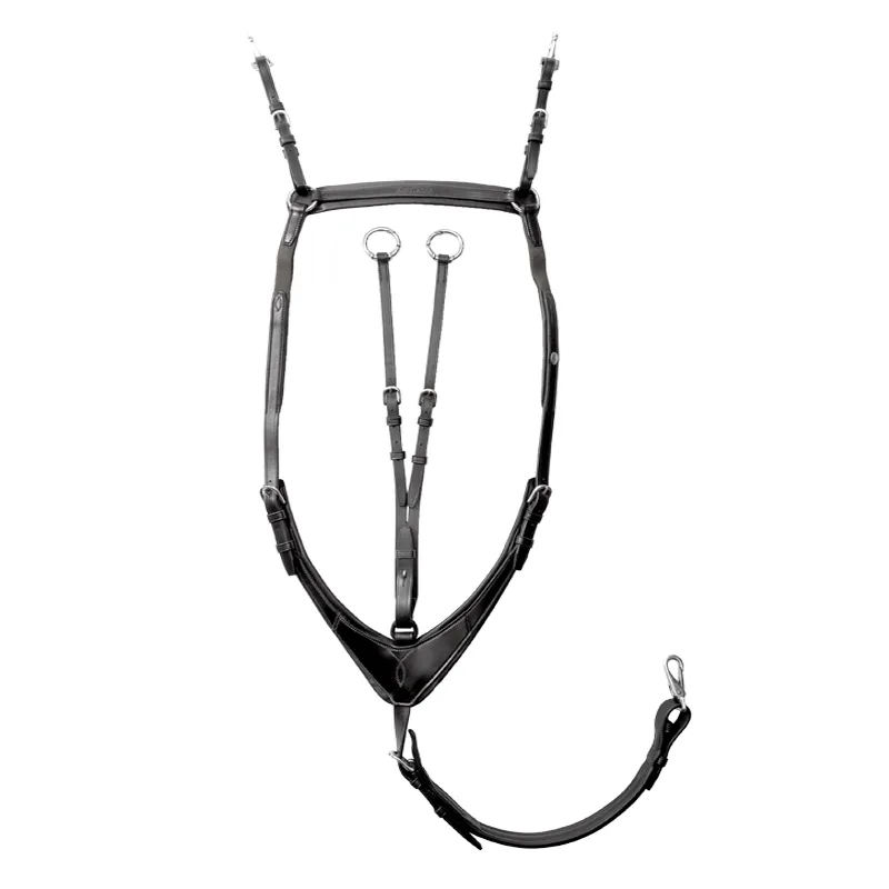 robin črna Predprsnica Kavalkade Robin - slika 1