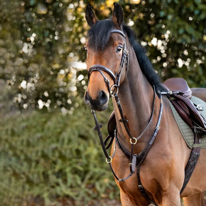 robin na konju Predprsnica Kavalkade Robin - slika 3