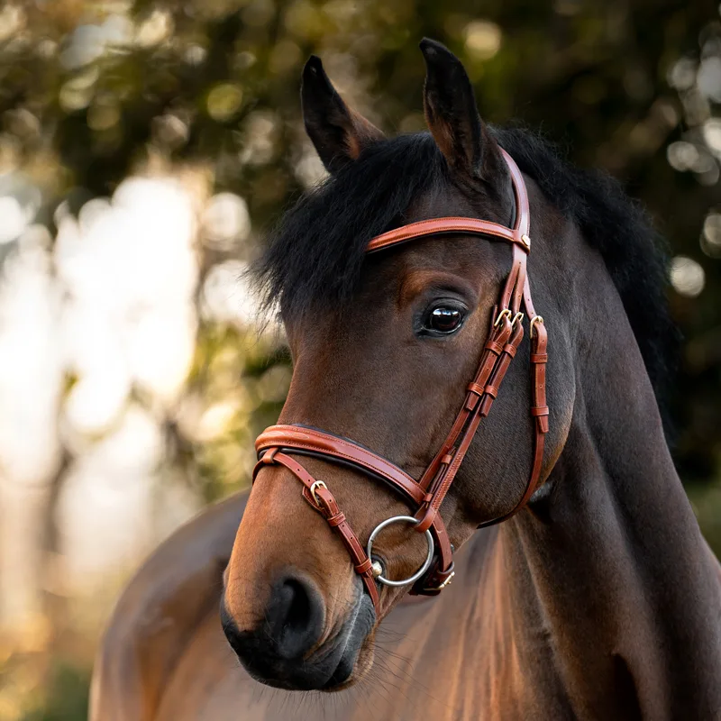 robin uzda 2 Uzda Kavalkade Robin - slika 6