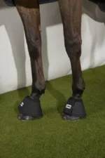 Zvonci All Around Eskadron - slika 2