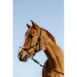 Vrvična oglavka Westride Western