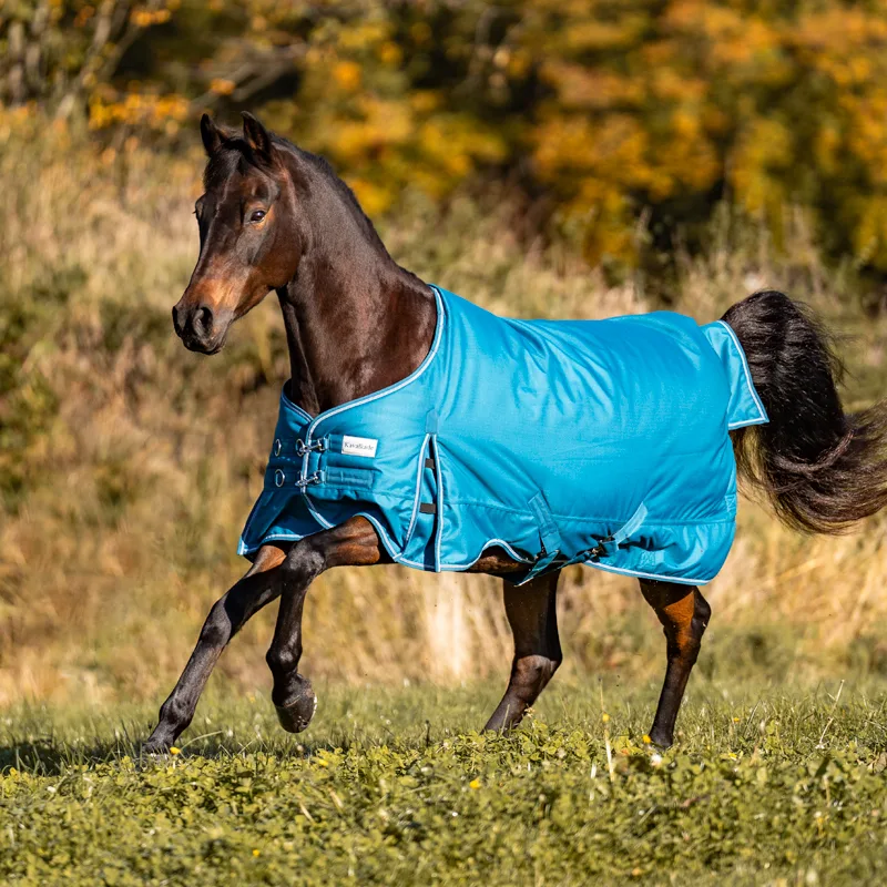 46402_11 Zimska deka Kavalkade Alaska Petrol IV 300g - Slika 1