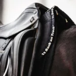 Podloga za sedlo Back on Track - slika 2