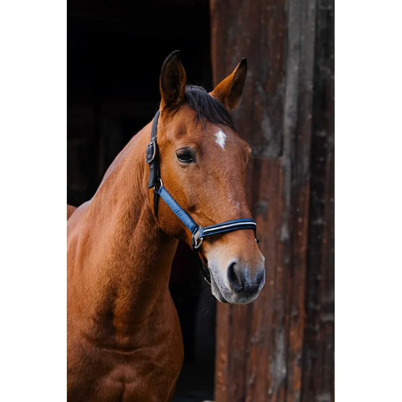 domino svetlo modra Oglavka E-T Domino - slika 1