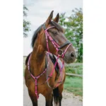 Endurance uzda Norton Pink Pop