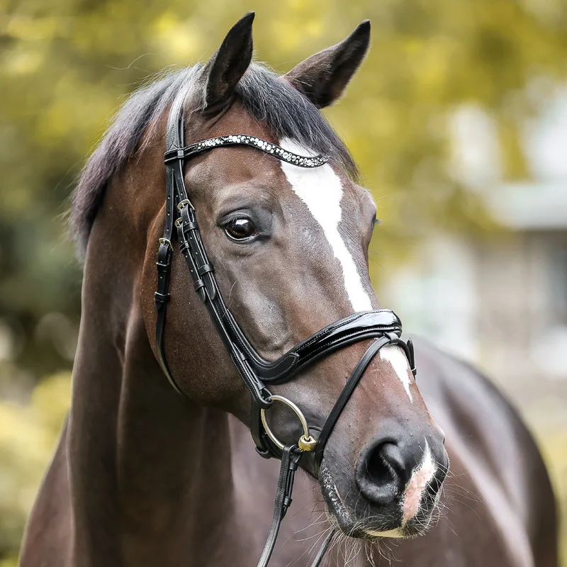 ivana uzda Uzda Kavalkade Ivana - slika 1